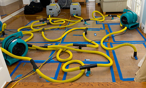 Professional Crawl Space Water Removal technician working in Norwood, NY
